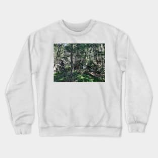 Forest Crewneck Sweatshirt